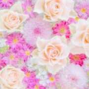 ヒメ日記 2025/08/30 21:41 投稿 りの 素人妻達☆マイふぇらレディー