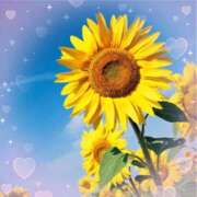 ヒメ日記 2025/09/08 01:39 投稿 りの 素人妻達☆マイふぇらレディー