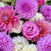 ヒメ日記 2025/09/21 21:02 投稿 りの 素人妻達☆マイふぇらレディー