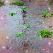 ヒメ日記 2025/10/04 18:55 投稿 りの 素人妻達☆マイふぇらレディー