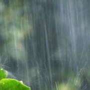 ヒメ日記 2025/10/11 13:41 投稿 りの 素人妻達☆マイふぇらレディー