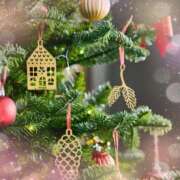 ヒメ日記 2025/12/22 12:37 投稿 りの 素人妻達☆マイふぇらレディー