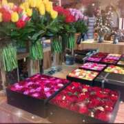 ヒメ日記 2025/12/29 12:03 投稿 りの 素人妻達☆マイふぇらレディー