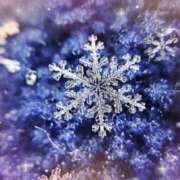 ヒメ日記 2026/01/03 07:30 投稿 りの 素人妻達☆マイふぇらレディー