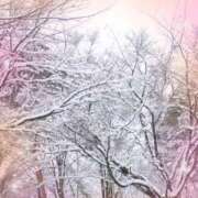 ヒメ日記 2026/01/20 13:00 投稿 りの 素人妻達☆マイふぇらレディー