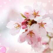 ヒメ日記 2026/02/10 07:54 投稿 りの 素人妻達☆マイふぇらレディー