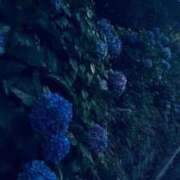 ヒメ日記 2025/08/30 07:59 投稿 みおう 奥様特急　池袋・大塚店