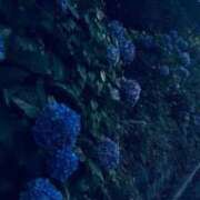 ヒメ日記 2025/08/30 08:05 投稿 みおう 奥様特急　上野・鶯谷店