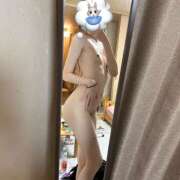 ヒメ日記 2025/09/28 08:38 投稿 スズ 姫路ラビット