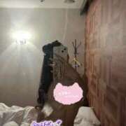 ヒメ日記 2025/10/13 12:58 投稿 ゆずか スパーク梅田店