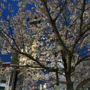 ヒメ日記 2026/03/29 18:44 投稿 梨愛-りあ 熟女10000円デリヘル 川崎