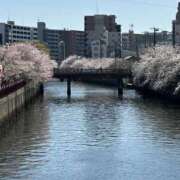 ヒメ日記 2026/04/11 18:47 投稿 梨愛-りあ 熟女10000円デリヘル 川崎