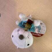 ヒメ日記 2025/11/08 21:37 投稿 ある Club S