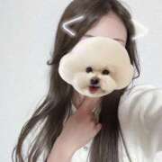 ヒメ日記 2025/09/11 00:23 投稿 るる アラモード