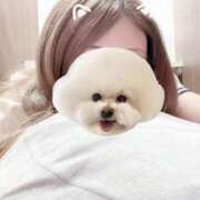 ヒメ日記 2025/09/21 15:22 投稿 るる アラモード