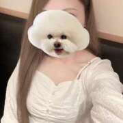 ヒメ日記 2025/09/27 14:56 投稿 るる アラモード