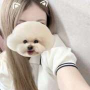 ヒメ日記 2025/10/11 11:58 投稿 るる アラモード