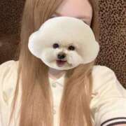 ヒメ日記 2025/10/13 09:51 投稿 るる アラモード