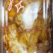 ヒメ日記 2025/10/12 06:00 投稿 きさき DIVA-ディーバ-【DIVAグループ】