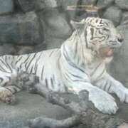 ヒメ日記 2025/09/14 02:32 投稿 みさき 熟女の風俗最終章　越谷店