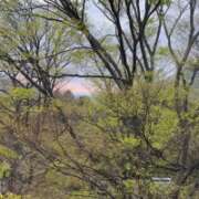 ヒメ日記 2025/09/03 07:34 投稿 にこ 丸妻 新横浜店