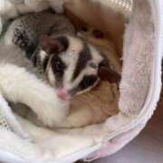 ヒメ日記 2025/11/11 09:40 投稿 佐山 上野CLUB A(クラブ エー)