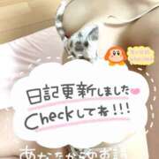 ヒメ日記 2025/09/08 06:42 投稿 ニナ バニーコレクション秋田店