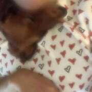 ヒメ日記 2025/10/07 09:33 投稿 水樹 パンドラ（吉原）