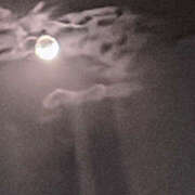 ヒメ日記 2025/10/08 19:40 投稿 えむ エロいお姉さん倶楽部