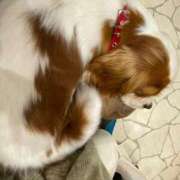 ヒメ日記 2025/10/04 18:16 投稿 マツリ マテリアル