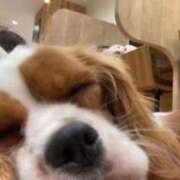 ヒメ日記 2025/12/04 16:01 投稿 マツリ マテリアル