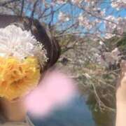 ヒメ日記 2026/04/16 10:31 投稿 マツリ マテリアル