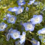 ヒメ日記 2026/04/19 03:31 投稿 マツリ マテリアル