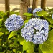 ヒメ日記 2026/06/04 17:16 投稿 マツリ マテリアル