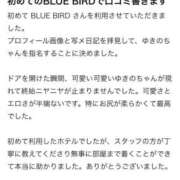 ヒメ日記 2025/09/04 15:14 投稿 ゆきの BLUE BIRD (ブルーバード) 上越