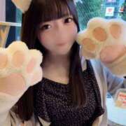 ヒメ日記 2025/08/26 13:19 投稿 るかな セグレターリオ