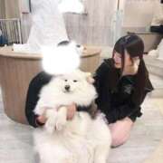 ヒメ日記 2026/01/15 11:59 投稿 るかな セグレターリオ