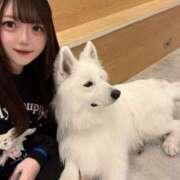 ヒメ日記 2026/02/13 07:15 投稿 るかな セグレターリオ