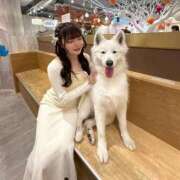 ヒメ日記 2026/03/15 14:33 投稿 るかな セグレターリオ