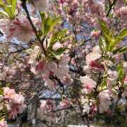 ヒメ日記 2025/09/04 10:28 投稿 まいか ハニープラザ（ユメオト）