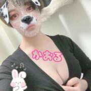 ヒメ日記 2025/10/26 02:56 投稿 かおる One More 奥様　西船橋店