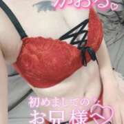 ヒメ日記 2025/11/15 21:16 投稿 かおる One More 奥様　西船橋店