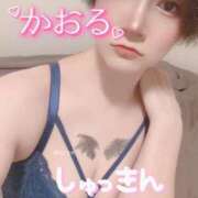 ヒメ日記 2025/11/18 10:06 投稿 かおる One More 奥様　西船橋店