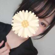 ヒメ日記 2025/08/26 00:54 投稿 凛堂　みはる プルプル札幌性感エステ はんなり