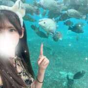 ヒメ日記 2025/10/14 15:39 投稿 メルモ ビギナーズ神戸