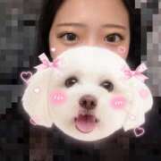 ヒメ日記 2025/10/23 11:10 投稿 みこと 横浜シンデレラ（シンデレラグループ）