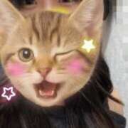 ヒメ日記 2025/11/13 14:17 投稿 みこと 横浜シンデレラ（シンデレラグループ）