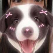 みこと ? 横浜シンデレラ（シンデレラグループ）