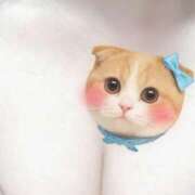 みこと すくすく成長中 横浜シンデレラ（シンデレラグループ）