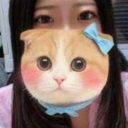 みこと わーい?? 横浜シンデレラ（シンデレラグループ）